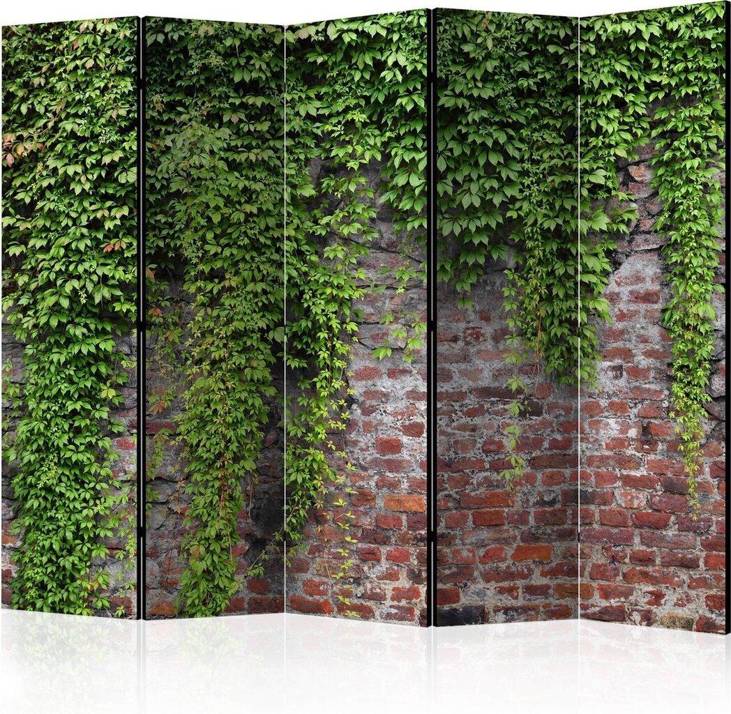 Ruumijaotur - Brick and ivy II [Room Dividers] hind ja info | Sirmid ja vaheseinad | hansapost.ee