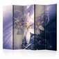 Ruumijaotur - Wintry Galaxy II [Room Dividers] hind ja info | Sirmid ja vaheseinad | hansapost.ee