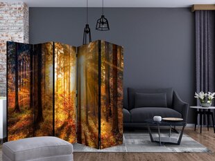 Ruumijaotur - Autumn Awakening II [Room Dividers] hind ja info | Sirmid ja vaheseinad | hansapost.ee