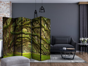 Ширма - Tree embrace [Комнатные перегородки] цена и информация | Мобильные стенки | hansapost.ee