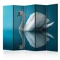 Ruumijaotur - swan - reflection II [Room Dividers] hind ja info | Sirmid ja vaheseinad | hansapost.ee