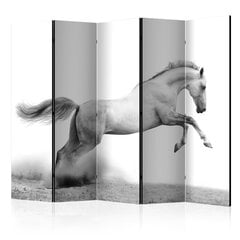 Ширма - White gallop [Комнатные перегородки] цена и информация | Мобильные стенки | hansapost.ee