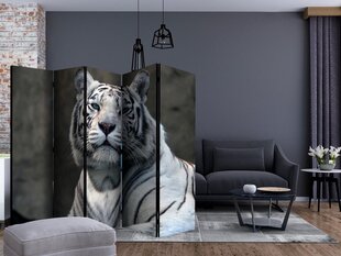 Ruumijaotur - Bengali tiger in zoo II [Room Dividers] hind ja info | Sirmid ja vaheseinad | hansapost.ee