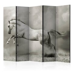 Ruumijaotur - Wild Stallion II [Room Dividers] hind ja info | Sirmid ja vaheseinad | hansapost.ee