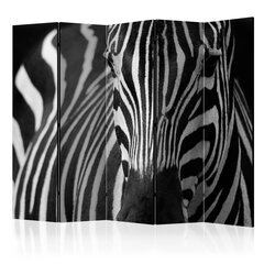 Ruumijaotur - White with black stripes II [Room Dividers] hind ja info | Sirmid ja vaheseinad | hansapost.ee