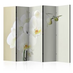 Ruumijaotur - White orchid II [Room Dividers] hind ja info | Sirmid ja vaheseinad | hansapost.ee