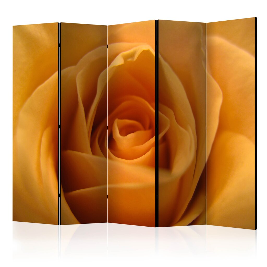 Ruumijaotur - Yellow rose – a symbol of friendship II [Room Dividers] hind ja info | Sirmid ja vaheseinad | hansapost.ee