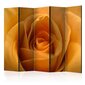 Ruumijaotur - Yellow rose – a symbol of friendship II [Room Dividers] hind ja info | Sirmid ja vaheseinad | hansapost.ee