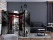 Ruumijaotur - Buddha Smile (Red) II [Room Dividers] цена и информация | Sirmid ja vaheseinad | hansapost.ee
