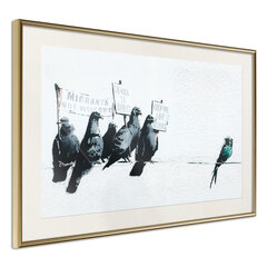 Poster - Banksy: Pigeons hind ja info | Seinapildid | hansapost.ee