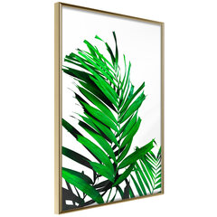 Poster - Emerald Palm hind ja info | Seinapildid | hansapost.ee