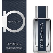 Salvatore Ferragamo 30 ml hind ja info | Parfüümid meestele | hansapost.ee