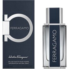 Salvatore Ferragamo 30 ml цена и информация | Parfüümid meestele | hansapost.ee