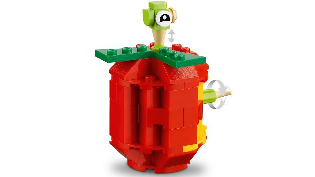 11019 LEGO® Classic Klotsid ja funktsioonid цена и информация | Klotsid ja konstruktorid | hansapost.ee