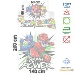 Voodipesukomplekt lastele Power Rangers, 140x200, 2 osaline hind ja info | Laste voodipesu | hansapost.ee