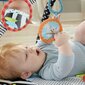 Tegelusmatt koos valgustuse ja mängiva lemmikloomaga Fisher Price, HBP41 цена и информация | Arendavad tegelusmatid | hansapost.ee