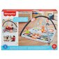 Tegelusmatt koos valgustuse ja mängiva lemmikloomaga Fisher Price, HBP41 hind ja info | Arendavad tegelusmatid | hansapost.ee