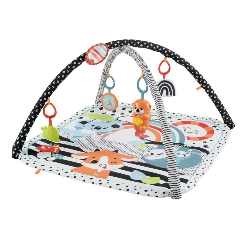 Tegelusmatt koos valgustuse ja mängiva lemmikloomaga Fisher Price, HBP41 hind ja info | Arendavad tegelusmatid | hansapost.ee