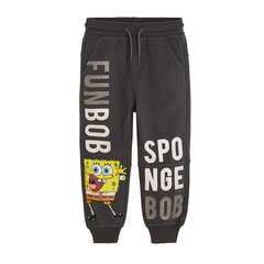 Cool Club спортивные штаны для мальчиков Губка Боб Квадратные штаны (SpongeBob Squarepants), LCB2410212, серые цена и информация | Штаны для мальчиков | hansapost.ee