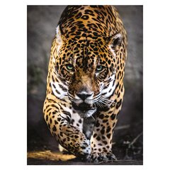 Pusle Clementoni High Quality Leopardi samm, 1000-osaline hind ja info | Clementoni Lastekaubad ja beebikaubad | hansapost.ee