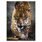 Pusle Clementoni High Quality Leopardi samm, 1000-osaline цена и информация | Pusled lastele ja täiskasvanutele | hansapost.ee