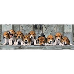 Pusle Clementoni Panorama High Quality Beagles, 1000- osaline hind ja info | Pusled lastele ja täiskasvanutele | hansapost.ee