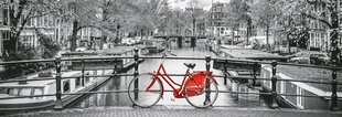 Головоломка Clementoni Panorama Амстердамский велосипед, 39440, 1000 д. цена и информация | Пазлы | hansapost.ee