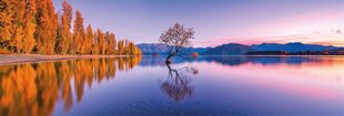 Pusle Clementoni High Quality Collection Panorama Lake Wanaka Tree, 39608, 1000 osaline hind ja info | Pusled lastele ja täiskasvanutele | hansapost.ee