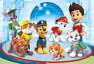 Pusle Clementoni Supercolor Puzzle Käpapatrull (Paw Patrol), 24211, 24 osaline цена и информация | Пазлы | hansapost.ee