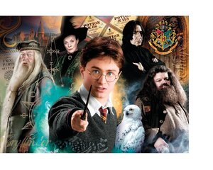 Pusle Clementoni Harry Potter, 35083, 500 tk, 8+ a hind ja info | Pusled lastele ja täiskasvanutele | hansapost.ee