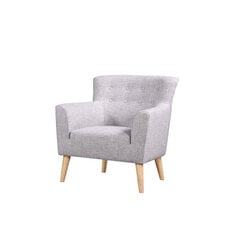 Кресло Guyana, светло-серый/светлый цена и информация | Кресла | hansapost.ee