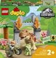 10939 LEGO® DUPLO Dinosauruse põgenemine hind ja info | Klotsid ja konstruktorid | hansapost.ee