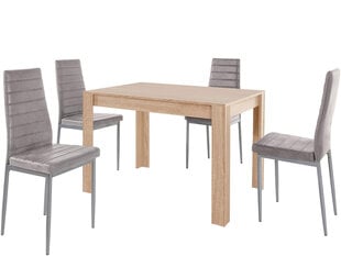 Söögitoa mööbli komplekt Notio Living Lori 120/Kota, tamm/helehall цена и информация | Комплекты мебели для столовой | hansapost.ee