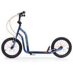 Велосипед - самокат Meteor Fozzy, синий цена и информация | Самокаты | hansapost.ee
