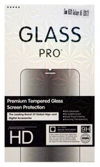 Karastatud klaasist PRO + Premium 9H ekraanikaitse Samsung A105 Galaxy A10 цена и информация | Защитные пленки для телефонов | hansapost.ee