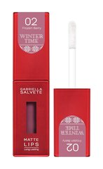 Huulepulk Gabriella Salvete Winter Time Matte Lips 02 Frozen Berry, 4,5 ml   hind ja info | Huulekosmeetika | hansapost.ee