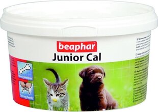 Препарат кальция для щенков и котят Beaphar, 200г цена и информация | Витамины, добавки, средства от паразитов для собак | hansapost.ee