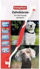 Kahe otsaga hambahari koertele ja kassidele Beaphar hind ja info | Hooldus/grooming | hansapost.ee