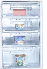 Goddess FSC085TW9E цена и информация | Goddess Холодильники и морозилки | hansapost.ee