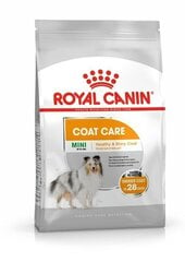 Kuivtoit väikestele täiskasvanud koertele Royal Canin Karma CCN Mini Coat Care, 3 kg цена и информация | Сухой корм для собак | hansapost.ee