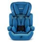 Turvatool Ricokids Massi, 9-36 kg, blue цена и информация | Turvatoolid ja turvahällid | hansapost.ee