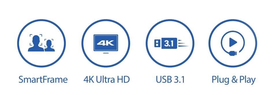 Avermedia 1VG032 hind ja info | Veebikaamera | hansapost.ee