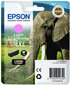 Originaalne Tindikassett Epson C13T24364010 hind ja info | Tindiprinteri kassetid | hansapost.ee