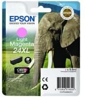 Originaalne Tindikassett Epson C13T24364010 цена и информация | Картриджи для струйных принтеров | hansapost.ee