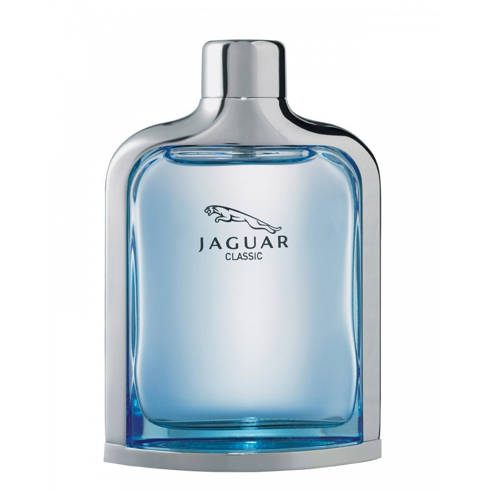 Jaguar New Classic EDT meestele 100 ml цена и информация | Parfüümid meestele | hansapost.ee