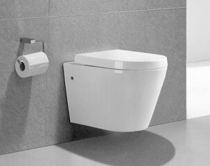 WC-pott Mexen Rico Rimless Duroplast aeglaselt sulguva kaanega цена и информация | Унитазы | hansapost.ee
