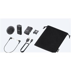 Sony беспроводной микрофон ECM-W2BT Wireless цена и информация | Зарядные устройства для видеокамер | hansapost.ee