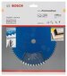 Lõikeketas Bosch Expert for Laminated Panel 165 x 20 x 2,6 mm цена и информация | Lihvmasinad | hansapost.ee