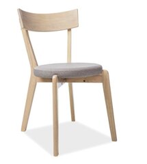 Комплект из 2-х стульев Signal Meble Nelson, дубового/серого цвета цена и информация | Стулья для кухни и столовой | hansapost.ee