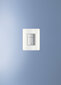 Grohe Skate Cosmopolitan WC loputusnupp - koos klaasist Alpine White värvi viimistlusega hind ja info | WC-poti lisatarvikud | hansapost.ee